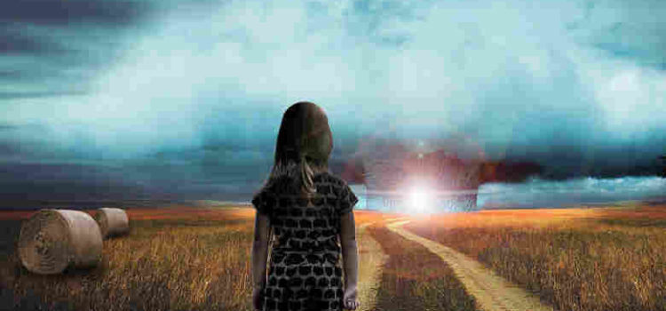 For Mandated Child Abuse Reporters, Is “Concern” the Same as “Suspicion”? young girl in field looking at light in distance