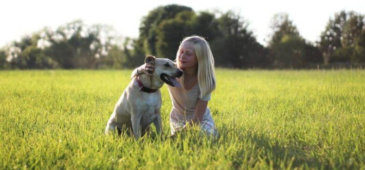 Do Criminal Convictions Impact Custody Determinations? criminal convictions custody child's best interest