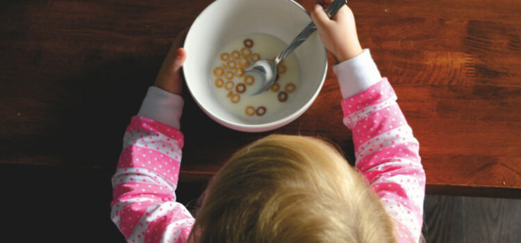 Updates on “Castle Child” Legislation in Ohio Ohio Castle Child Legislation Updates for disabled adult child support rights